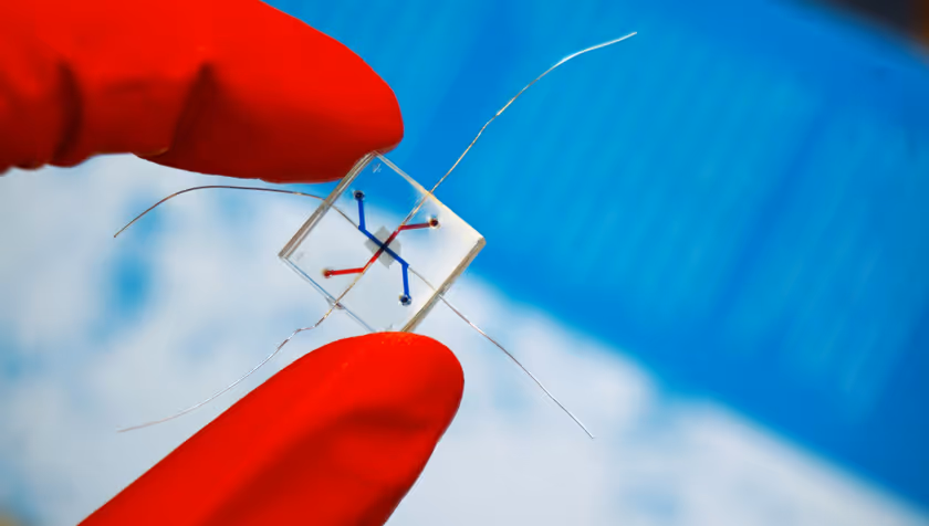 Rubicon grant for Ruben Kolkman