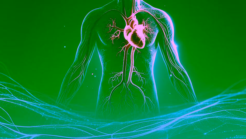 Celebrating Innovation: The Official Opening of the Cardiovascular Health Technology Centre
