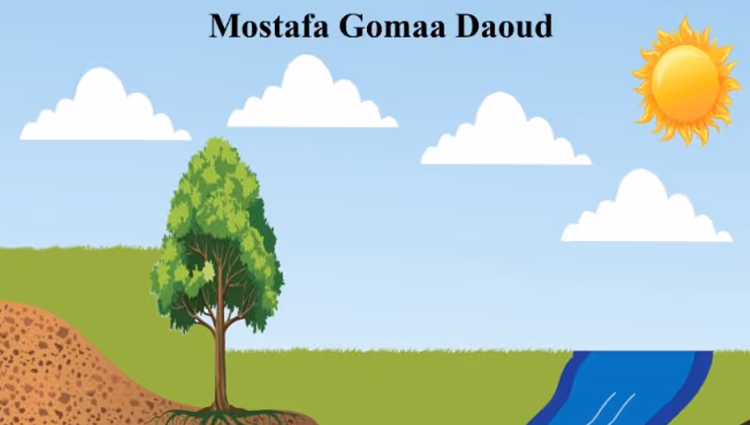 PhD Defence Mostafa Daoud | Groundwater role in surface-groundwater interactions and ecosystems functioning - Use of integrated (ECO)-hydrological modelling, earth observation and optimization techniques