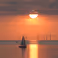 Young Alumni Summer Meetup - Scheveningen
