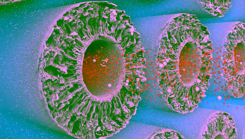 New spin-off: M3Nephron