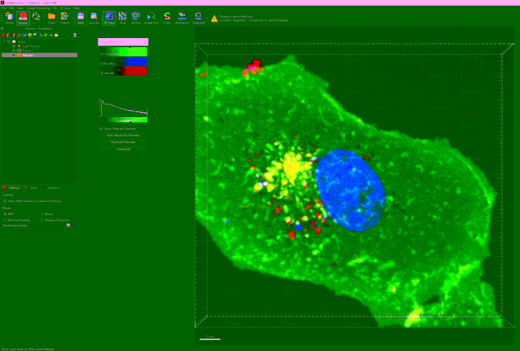 Imaris Software Image