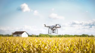 drone over field