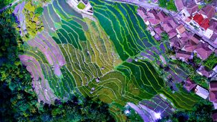 drone over field