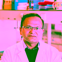 Prof Dr Jai Prakash