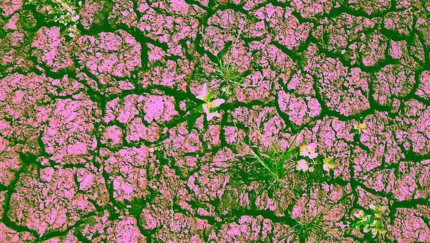 Nederland en Duitsland pakken samen droogte aan