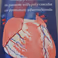 PhD Defence Tineke Pinxterhuis | Percutaneous coronary intervention in patients with polyvascular or premature atherosclerosis