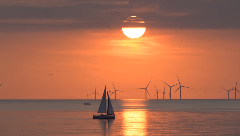 Young Alumni Summer Meetup - Scheveningen