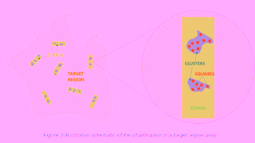 Statistics from Space, Next Generation Agricultural Production Information for Enhanced Monitoring of Food Security in Mozambique (Partners)