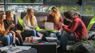 Five students sit on a bench with laptops, notebooks and coffee, having a relaxed group discussion in front of a large window overlooking greenery