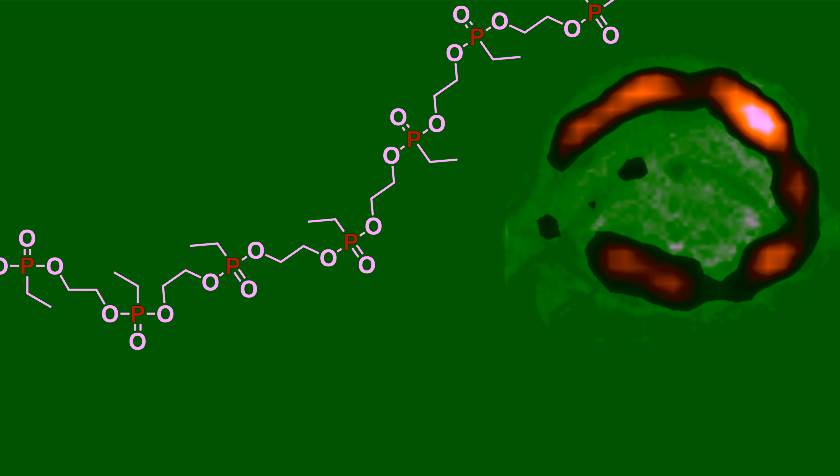 New Biodegradable Polymers Traceable Without Toxic Contrast Agents