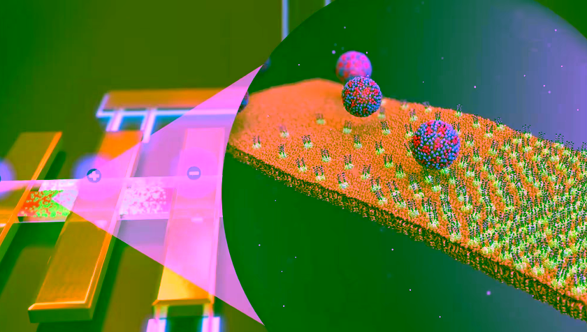 Throwback Matchmaking Events: Molecules for Society -  a VU-UT Molecular Life Science Challenge