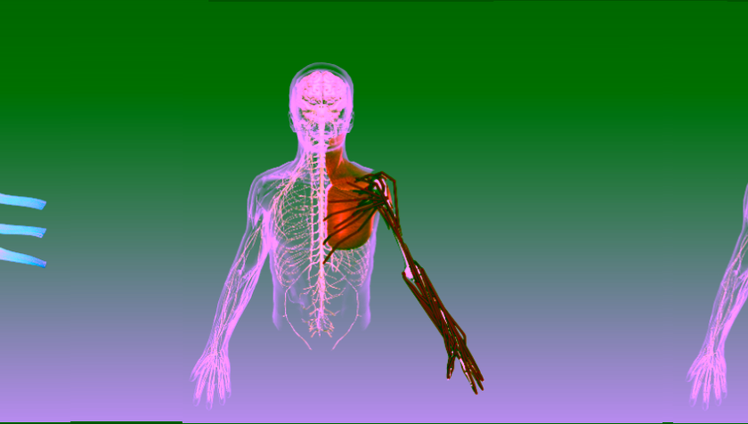 Revolutionising wearable robotics through open-source innovation