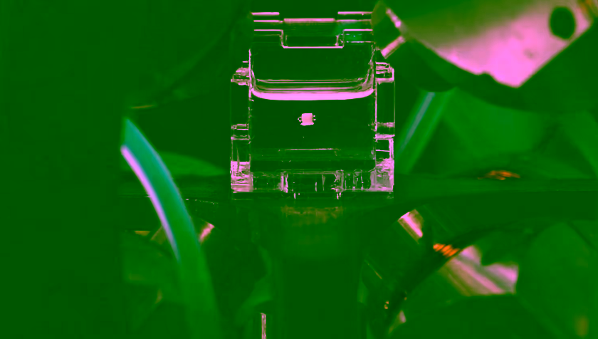 Pushing Micro-Robotics to New Heights