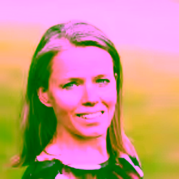 Mariëlle Stoelinga, Scientific Programme Director DDA