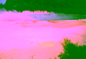 nz61champagnepool.jpg