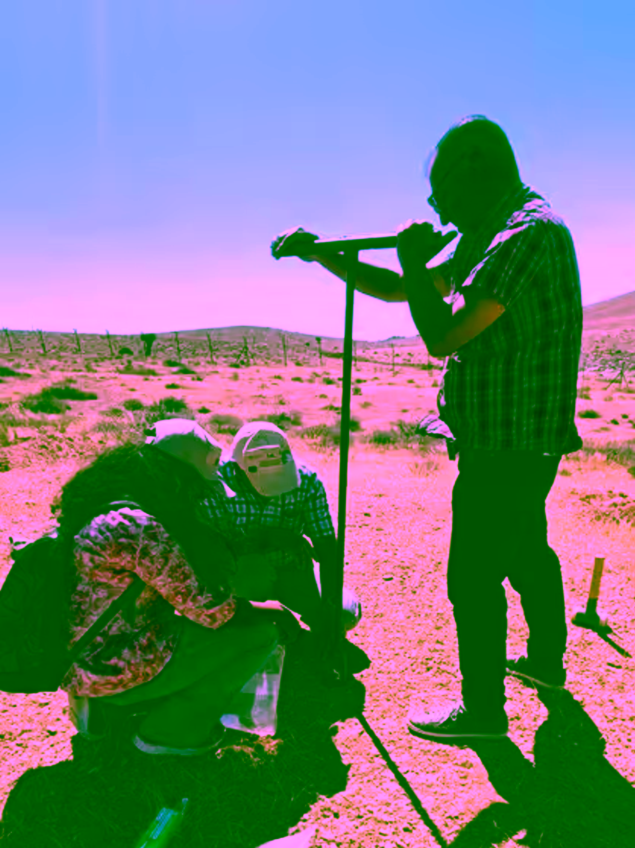 Soil sampling from Al Kharasri restoration site
