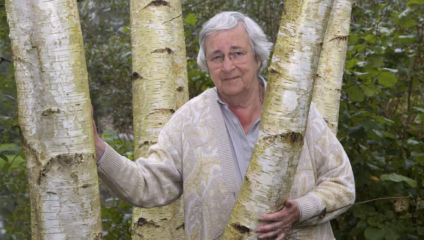 Call For Proposals: Marina Van Damme Grant 2019