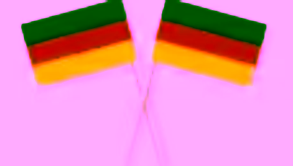 The data team® procedure in German