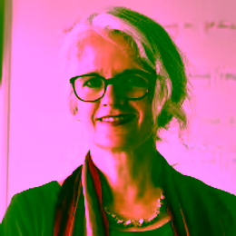Dr Angelika Mader, UT, project leader WEAFING