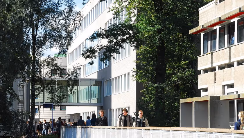 Martin Rosema new chair of section Public Administration