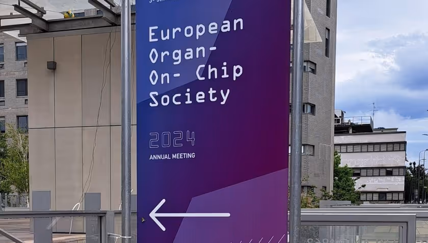 OoCCT at EUROoCS 2024