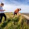 Salt marshes are proving to be powerful allies in building a climate-resilient coastline