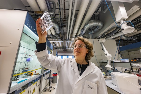 Sissi in Applied Physics Lab