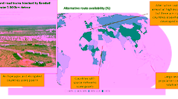 The resilience of domestic transport networks in the context of food security – a multi-country analysis
