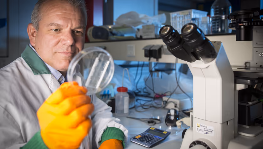 STAR interview: the rise of miniature human heart models, heart-on-chips
