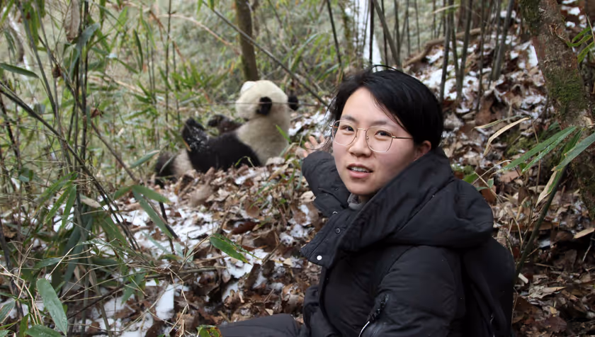 AI helpt wetenschappers te zien wat reuzenpanda’s zien
