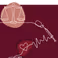 PhD Defence Ellis Slotman | Balancing burden and benefit in advanced cancer: real-world insights into treatment considerations, patterns and outcomes