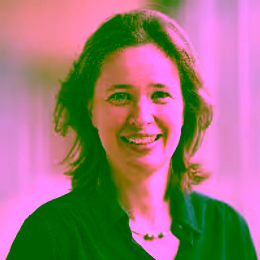 Prof.dr.ir. Leentje Volker