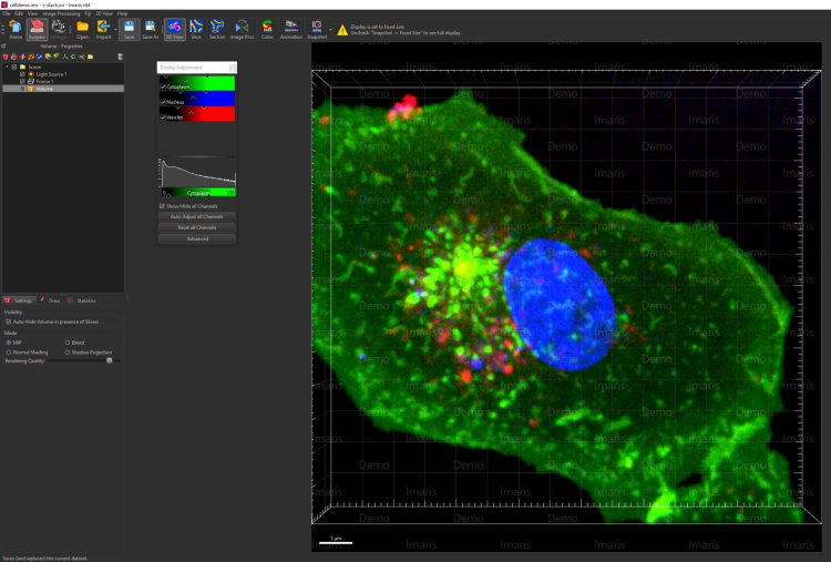 Imaris Software Image