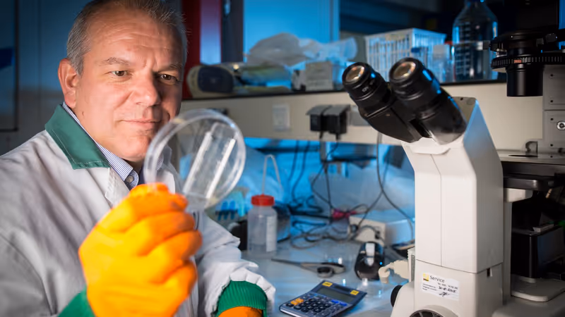 Research & Development