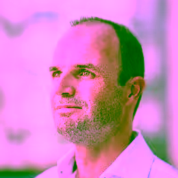 Prof. Floris Zwanenburg