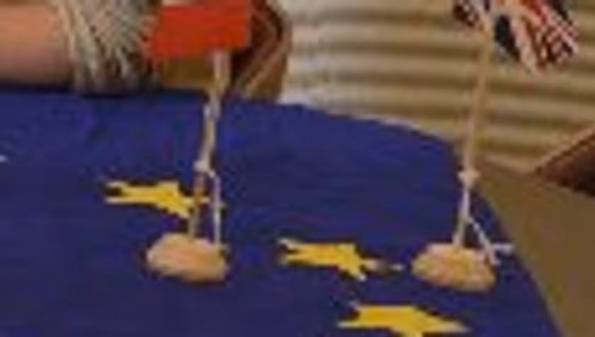 European Studies in the Netherlands