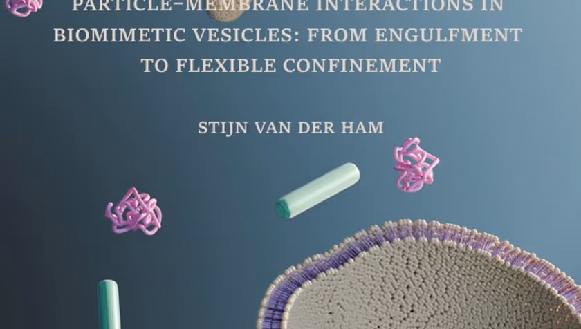 PhD Defence Stijn van der Ham | Particle–Membrane Interactions in Biomimetic Vesicles: From Engulfment to Flexible Confinement