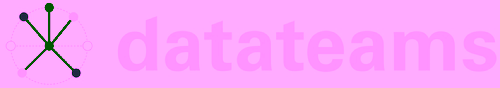 Logo datateams