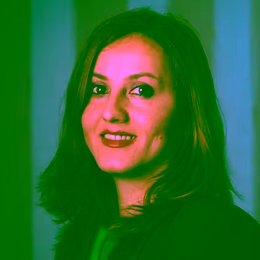 Fatemeh Mahmoudi, Alumnus EngD Civil Engineering