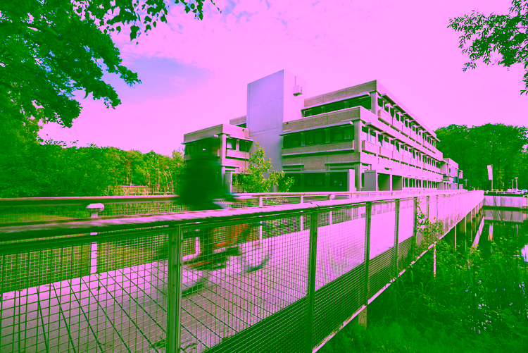 Ein Student fährt Fahrrad auf dem Campus.