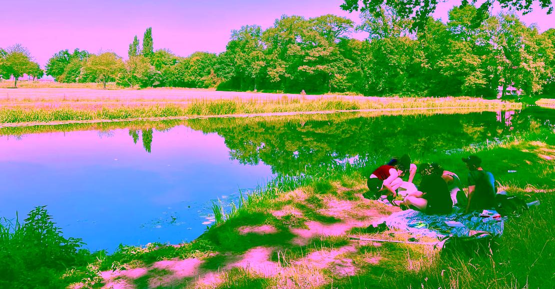 Citizen Science project