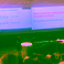 Successful symposium Quantum for Dummies