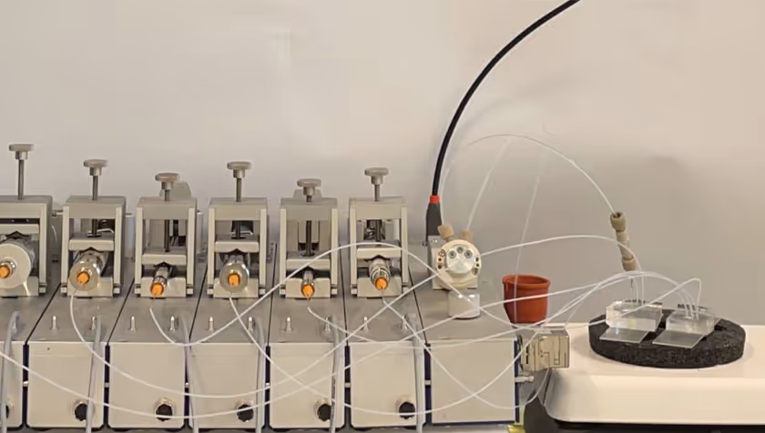 Researchers develop new method for molecular computing