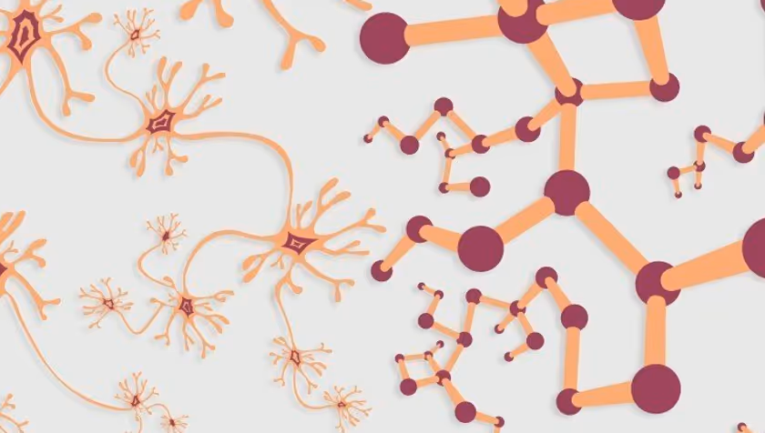 PhD Defence Nina Doorn | From Neuron to Network to Neurology - Deciphering multiscale electrophysiological measurements through biophysical modeling