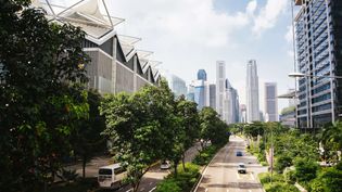 City of the future (Shutterstock)