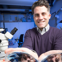 prof.dr.ir. D. Fernandez Rivas (David)