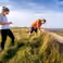 Salt marshes are proving to be powerful allies in building a climate-resilient coastline