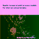 PhD Defence Robin Markwitz | Spatio-temporal point process models for interval-censored data