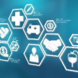 Carine Doggen; Professor